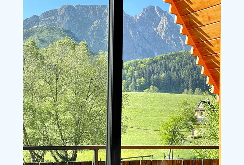 Domek Viata