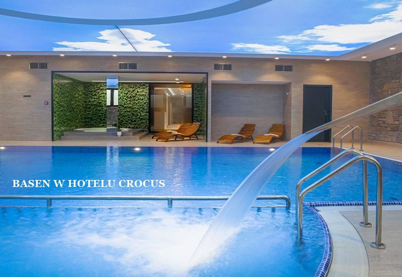 basen w hotelu Crocus