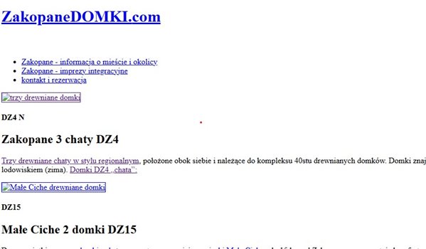 Strona zakopanedomki.com w 2007 roku