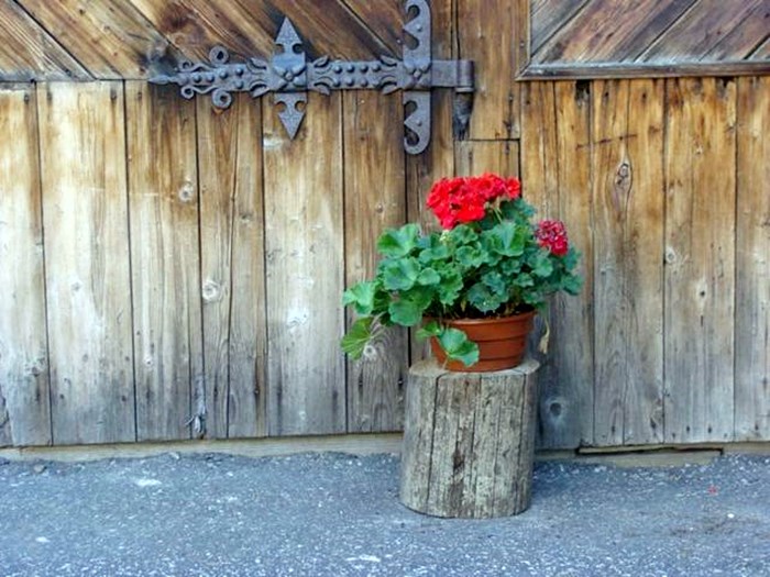 Patchwork Barn Zakopane centrum